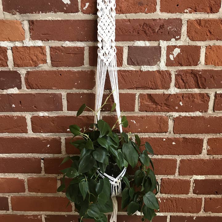 Tangled Up In Hue - Wholesale DIY Craft Kit - DIY Macrame Plant Hanger Kit - The Evelyn4