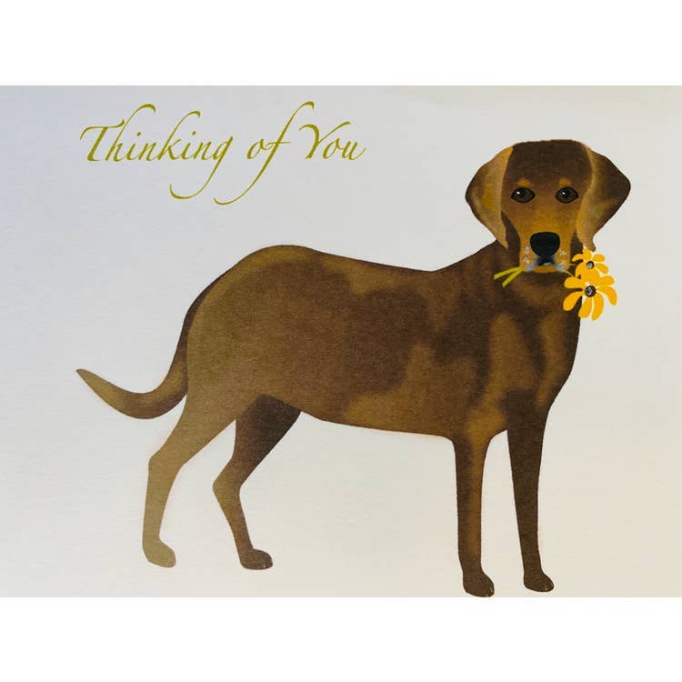 Studio Daedre - Wholesale Everyday Greeting Card - Lab Dog with Flowers - Loose Cards0