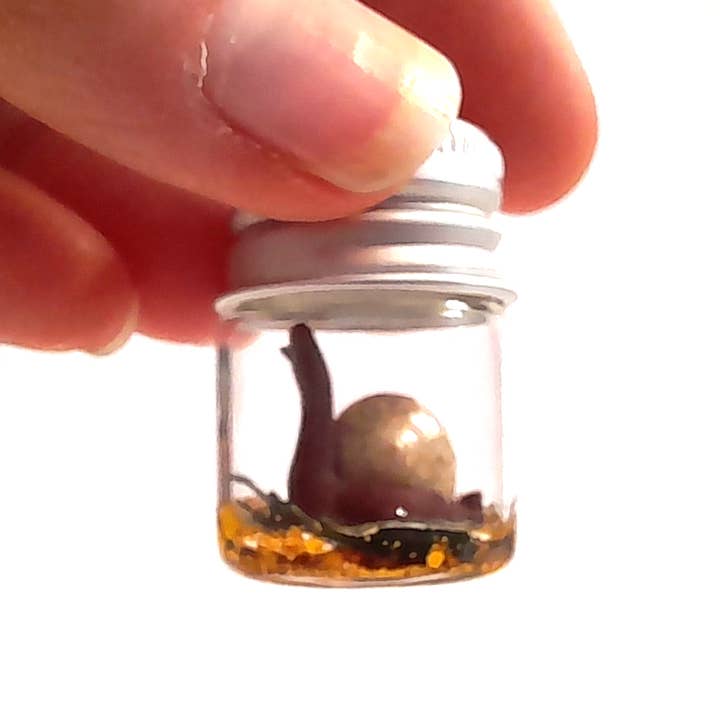 SUPERAWWWSOME - Wholesale Gag Gift/Novelty Gift - Snail Specimen Bottle, Dollhouse Miniature, nature gift jar11