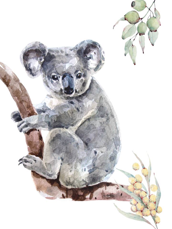 CÂLINS DE KOALA pour la vente par spirit publishing pty ltd