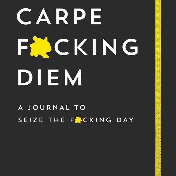 Sourcebooks - Wholesale Journal/Diary - Carpe F*cking Diem Journal