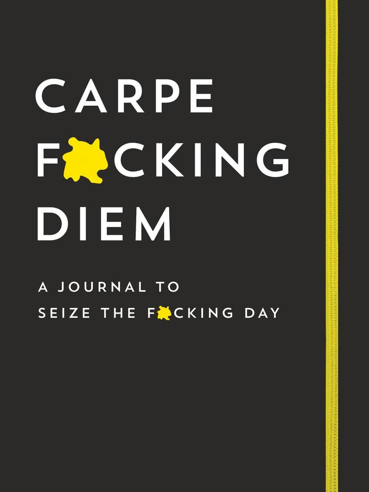 Carpe F*cking Diem Journal for wholesale by Sourcebooks