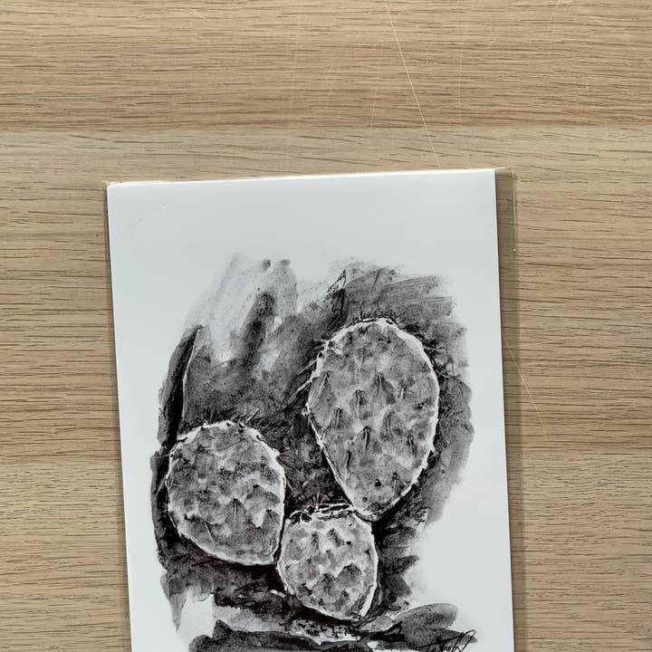 Prickly Pear Plant Charcoal Drawing Art Print for wholesale by Tasha Fay