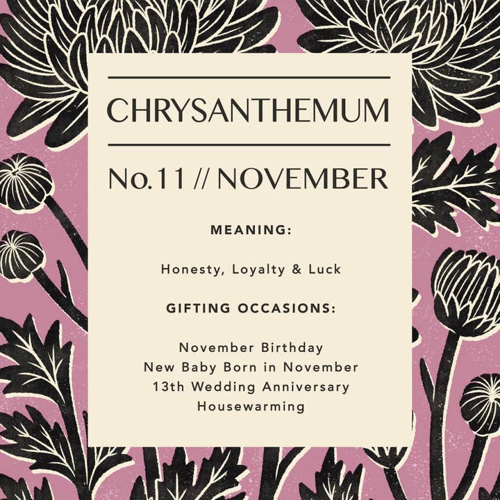 Bird & Co Studio - Wholesale Art Print - November Chrysanthemum | Botanical Birth Flower Art Print3