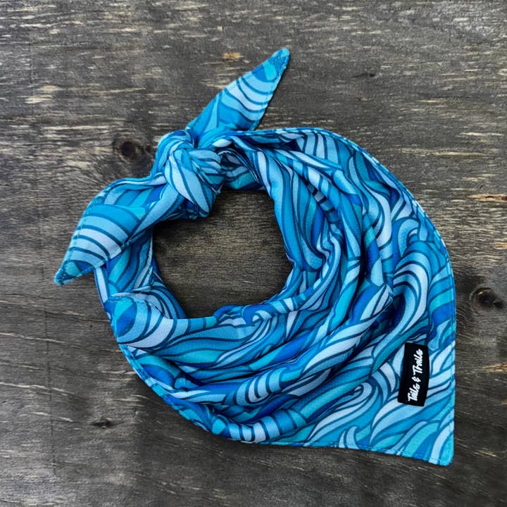 Riptide Bandana for wholesale by Tails and Trails