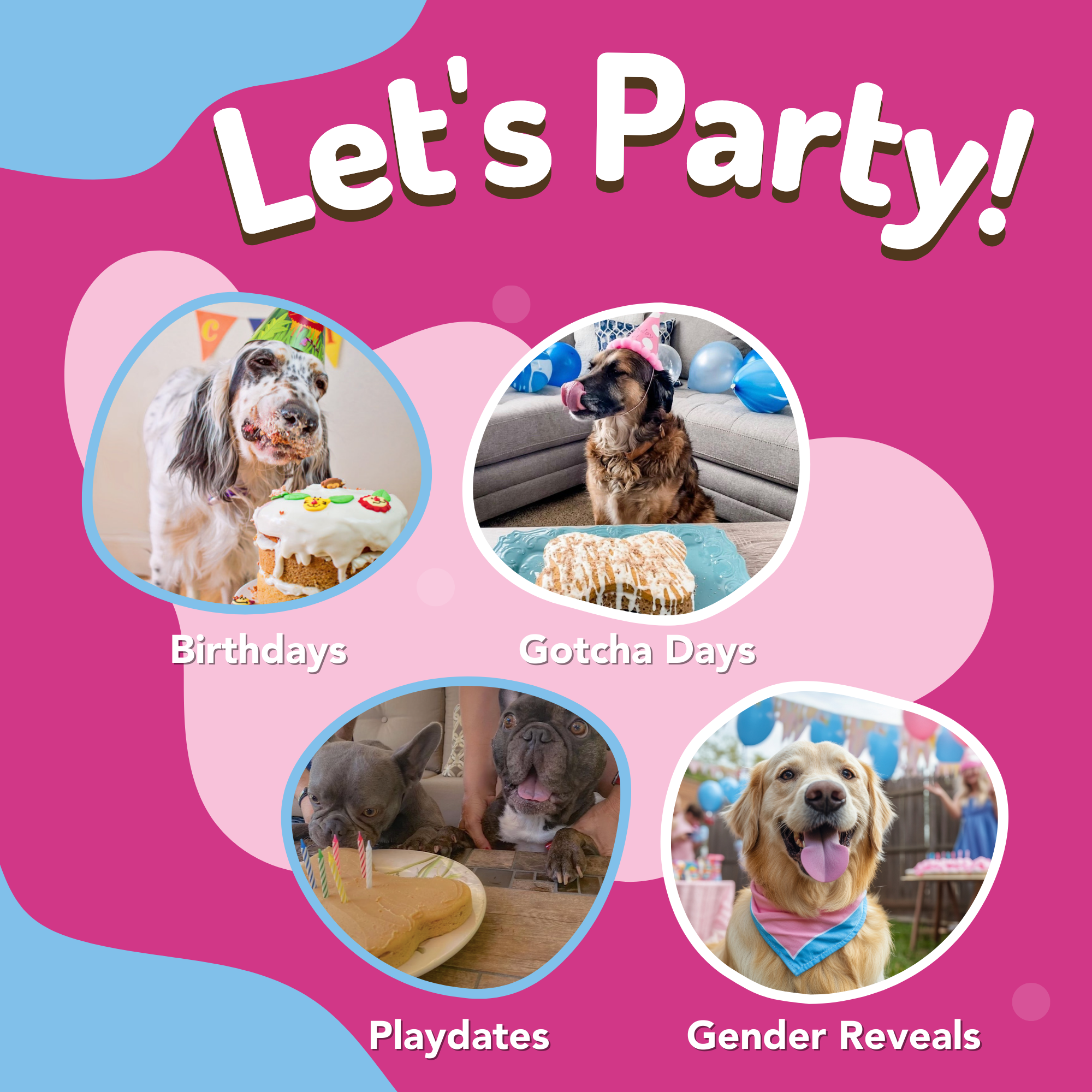 Puppy Cake LLC - Wholesale Pet Treats - Dog - Dog Birthday Cake Kit8