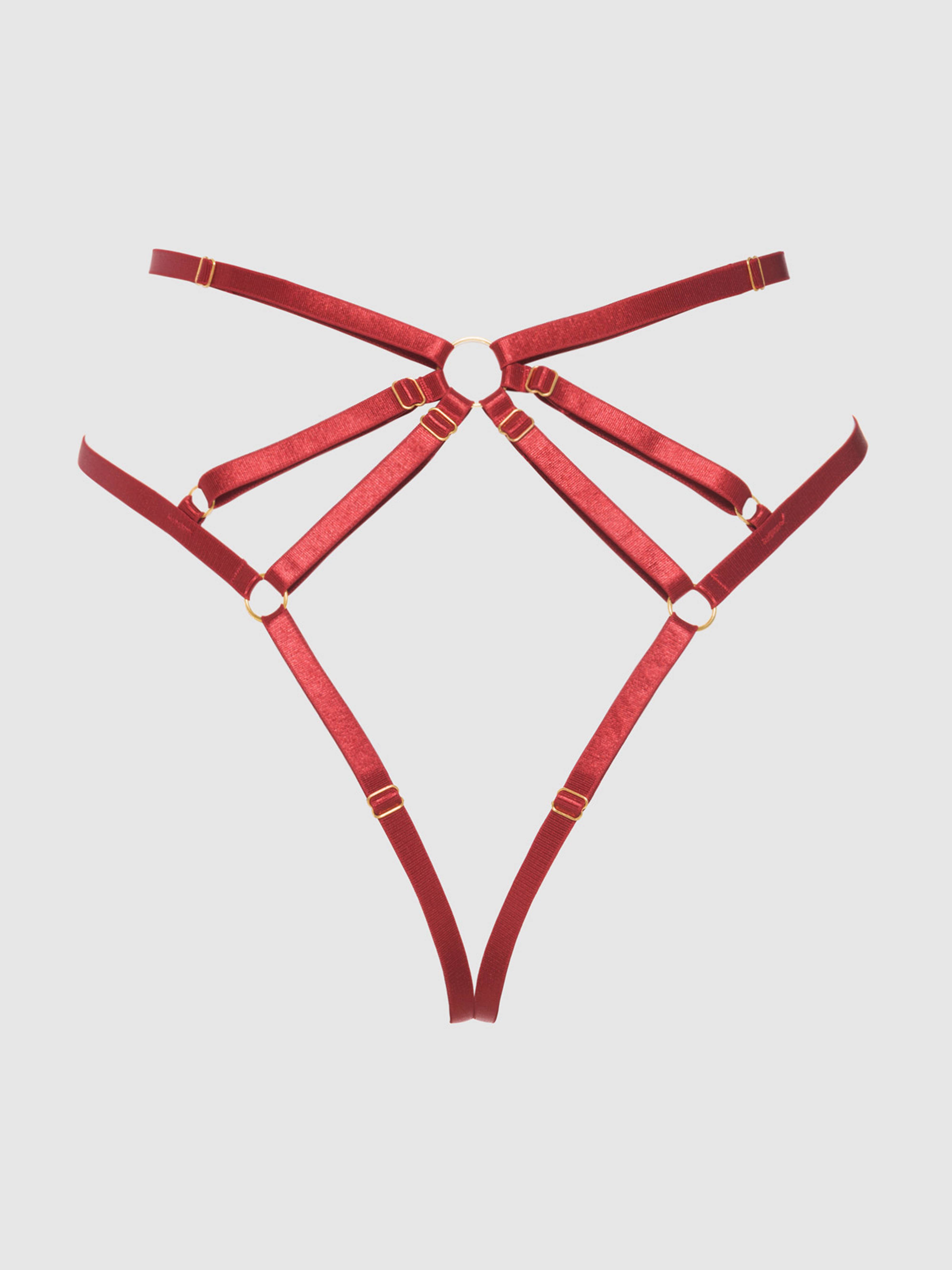 House of Desire - Wholesale Underwear - Women's - ROSALIE EMBROIDERED LACE STRAPPY BACKLESS TANGA15