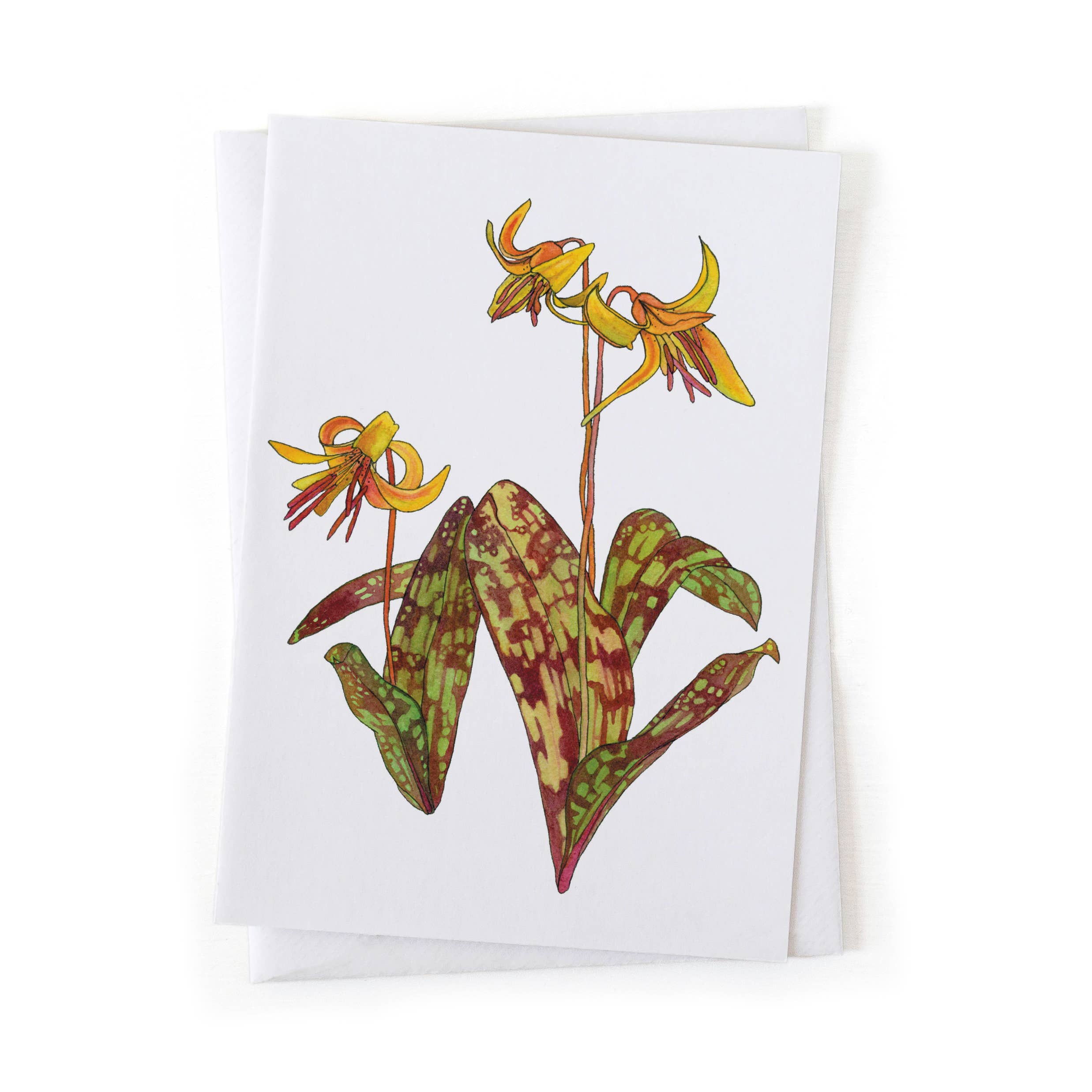 Wander & Gather - Wholesale Everyday Greeting Card - Yellow Trout Lily Spring Wildflower Botany 5x7 Card0