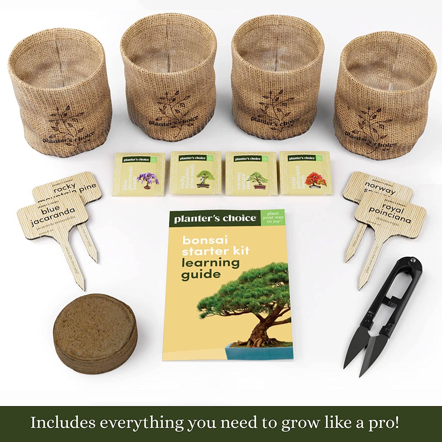 Planter's Choice - Wholesale DIY Craft Kit - Bonsai Starter Kit1