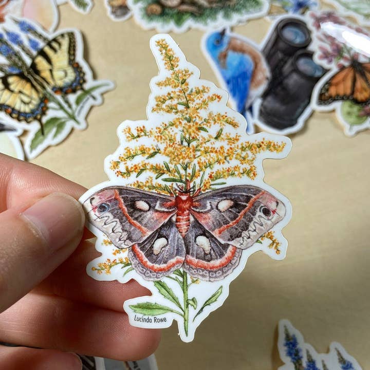 Sticker - Cecropia Moth On Goldenrod for wholesale by Lucinda Rowe Art