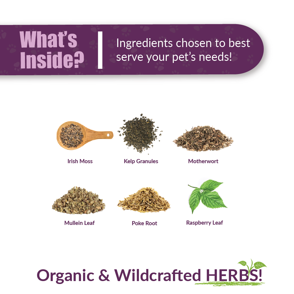 Amber NaturalZ, Inc. – Engroshandel Supplement til kæledyr - Kat/hund – TYD | Tillæg til kæledyr2