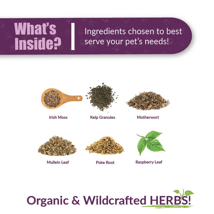 Amber NaturalZ, Inc. - Vendita all'ingrosso Integratori - Cani e gatti - TYD | Integratore per animali2