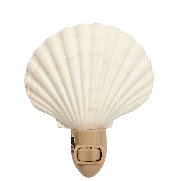 HS Seashells - Wholesale Night Light - Irish Deep Boxed LED Night Light4