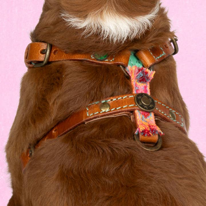 Harnais en Y Boho Rose XXS (Tour de poitrine 33-39 cm) pour la vente par Dog with a Mission