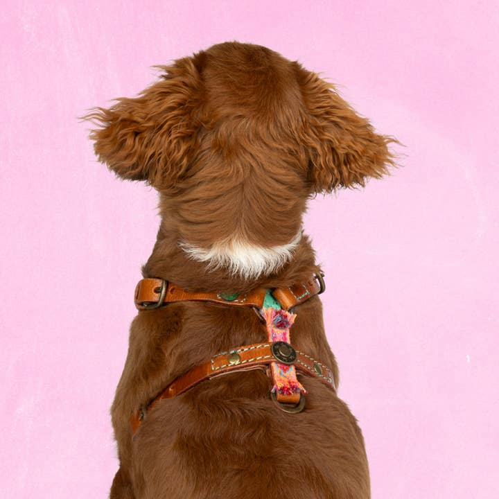 Harnais en Y Boho Rose XXS (Tour de poitrine 33-39 cm) pour la vente par Dog with a Mission