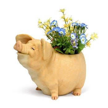 Pot Pettycoat pour la vente par Natures Window