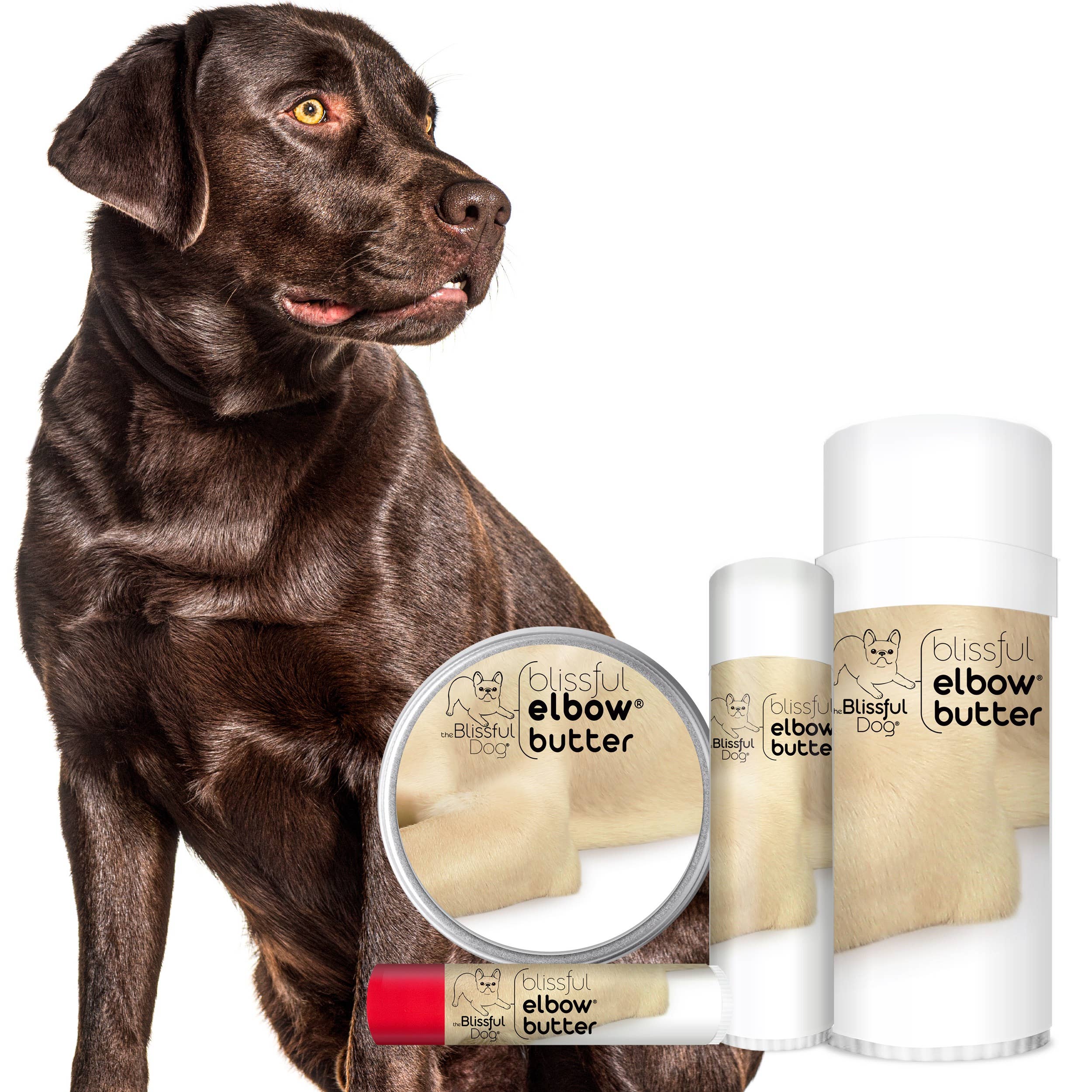 The Blissful Dog – wholesale Pet balm – Dog – Elbow Butter for Dog Elbow Calluses in Tins & Tubes12