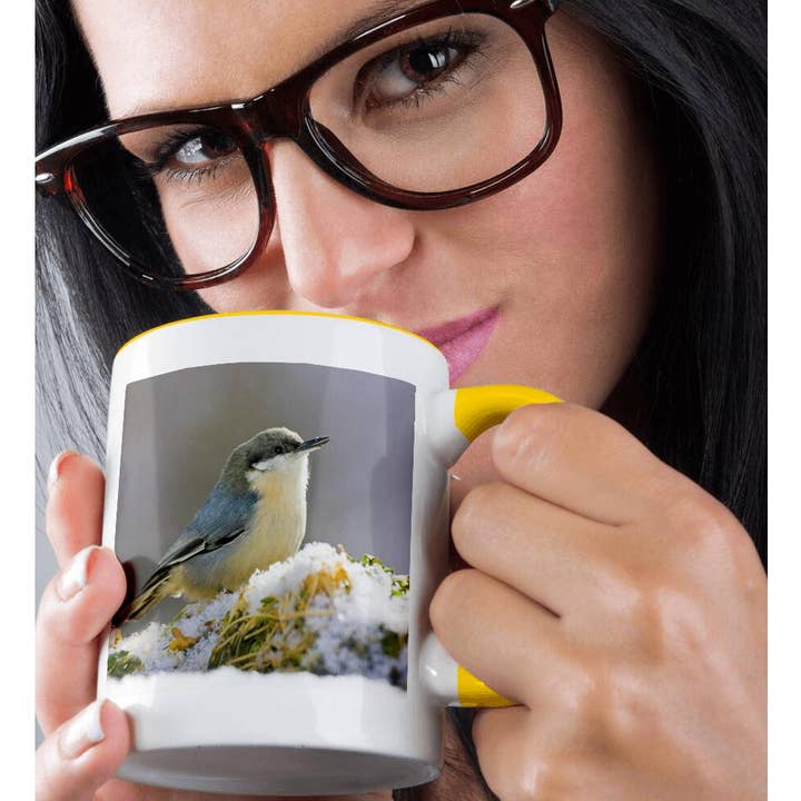 3dRose - Wholesale Coffee Mug - 3dRose, Colorado, Frisco, pygmy nuthatch bird - US06 BJA0076 - Jaynes Gallery, Mug1