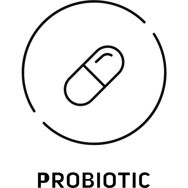 Alive Ferments - Wholesale Wellness Juice/Tonic - Gut Boost - Giardiniera3