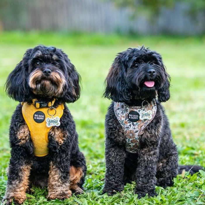 Wholesale Adjustable Harness- Flower Power for your store Faire