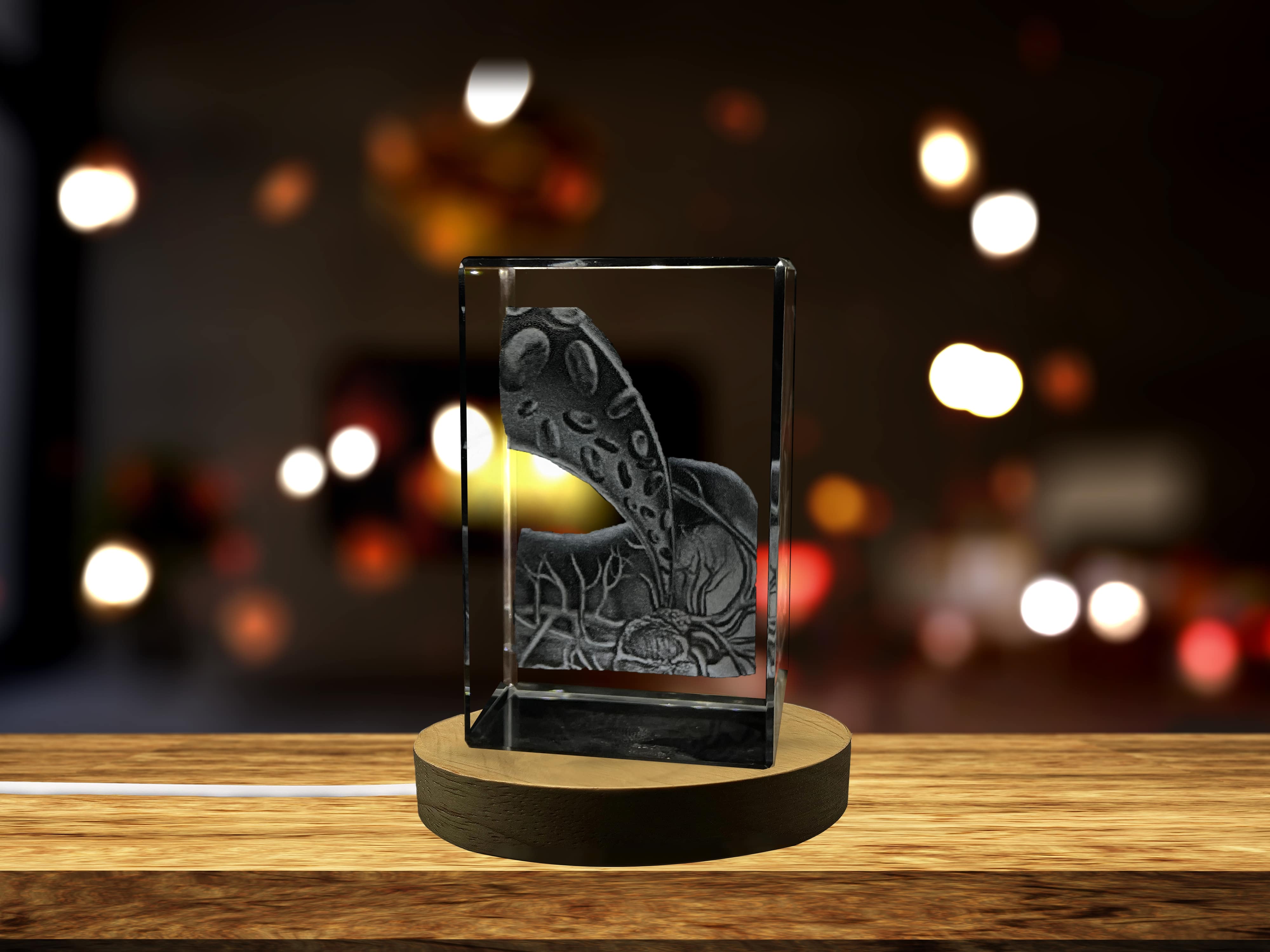 AB Crystal Collection - Wholesale Decorative Tabletop Object - Gallbladder Art | 3D Engraved Crystal Keepsake | Doctor Gift0