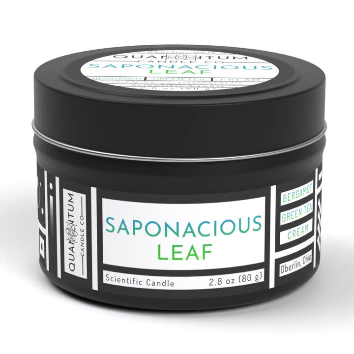 Saponacious Bladkaars voor wholesale door Quantum Candle Co