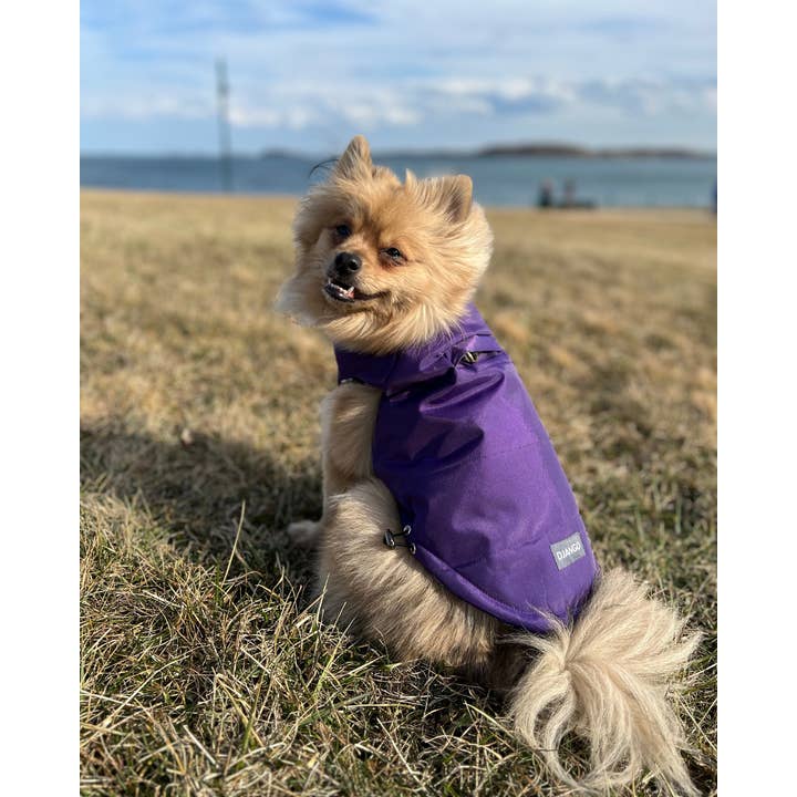 DJANGO - Wholesale Pet Coat - Dog - Reversible Puffer Dog Coat - Violet Purple3