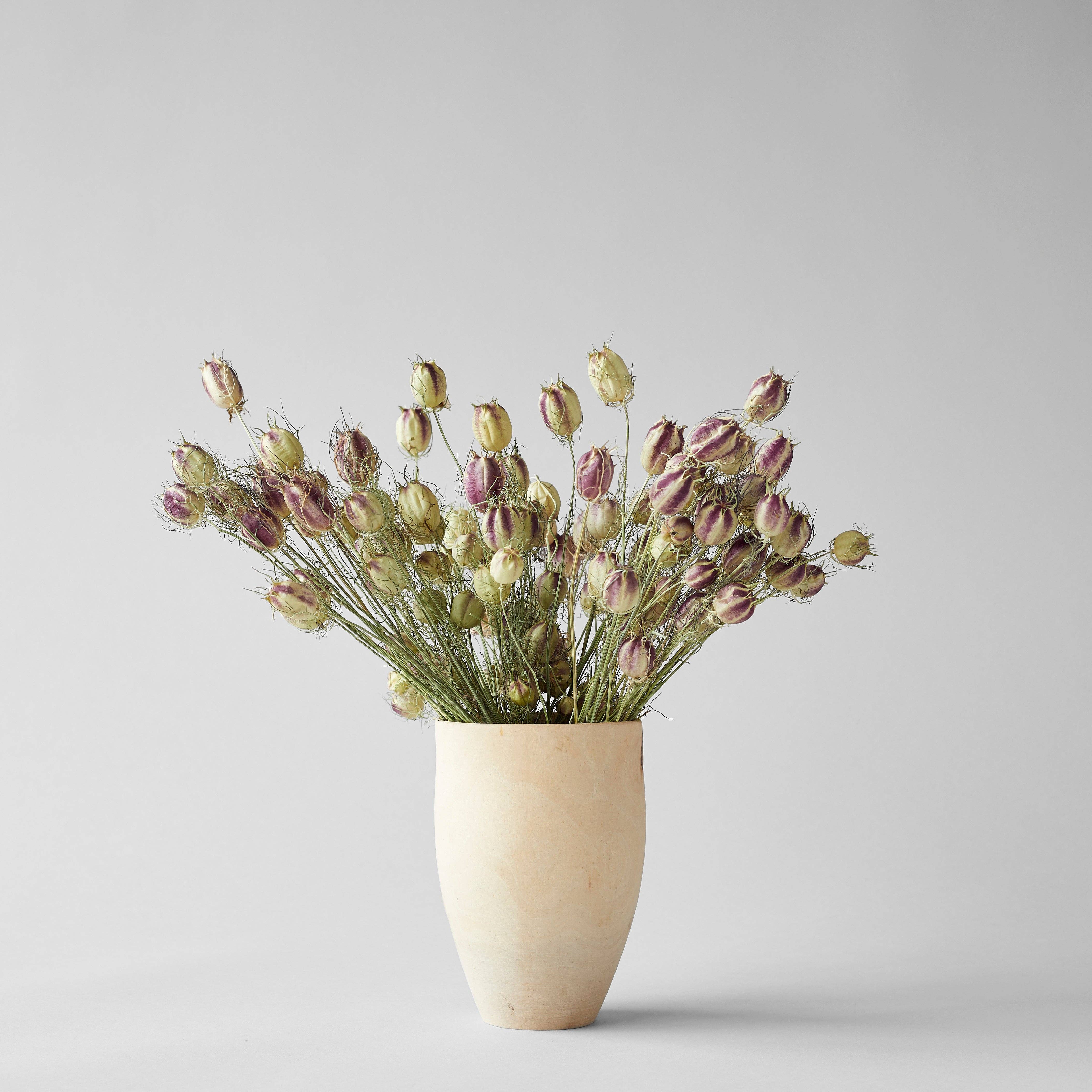 Bloomist - Vente Fleur séchée/pressée - Gousses de nigelle séchées1