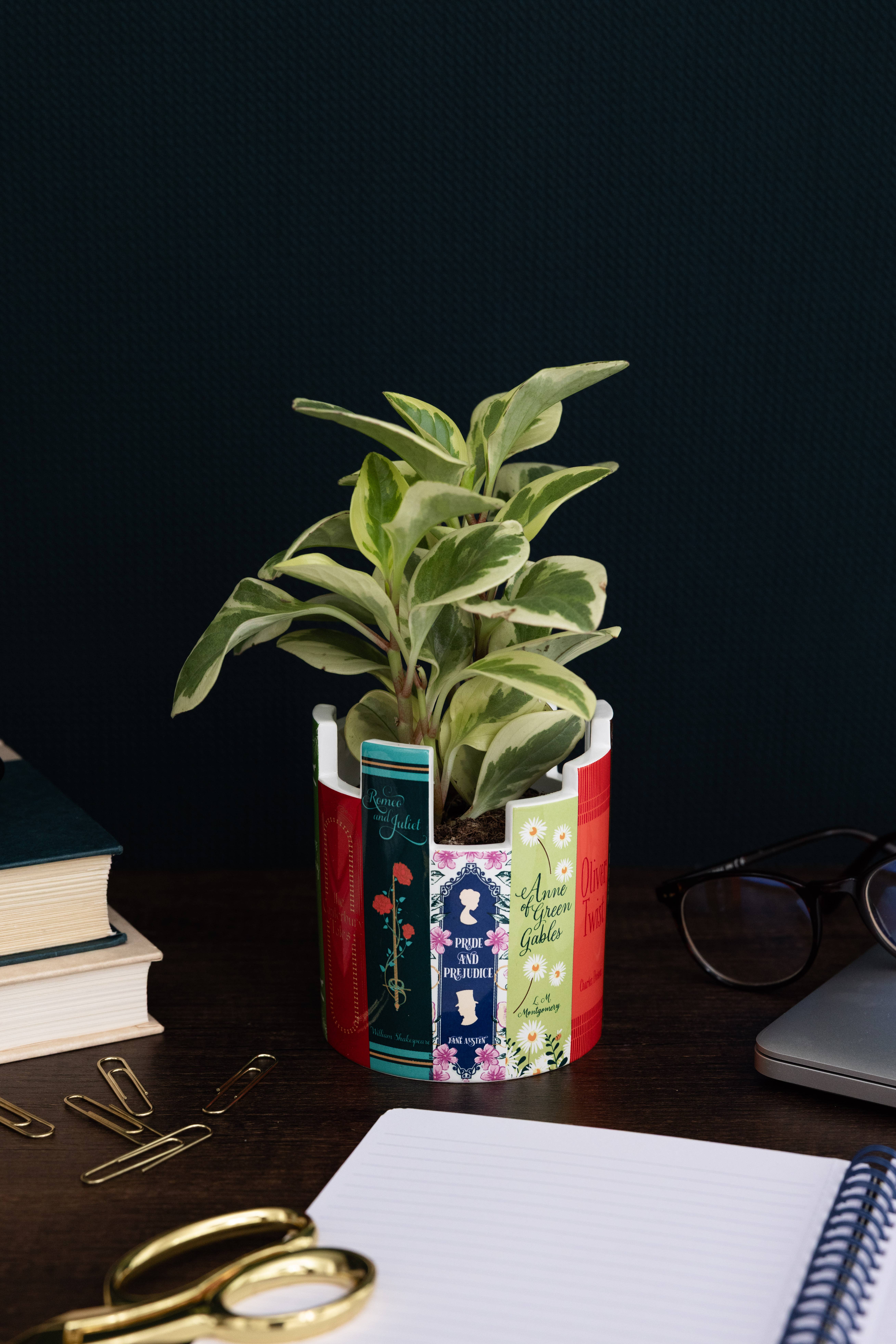 Steel Mill and Co. - Wholesale Plant Pot - Desk Pot, Classic Books