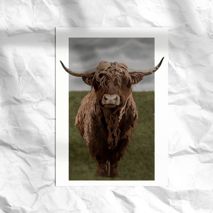 Portrait of Henry the highland cattle | Animal Wall Art for wholesale by Melanie J Chambers Illustrations