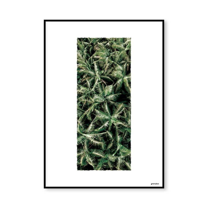 Palm Antenn för wholesale av Paradise Amsterdam