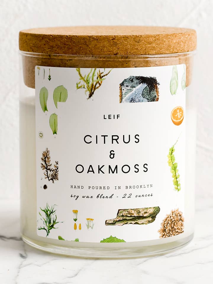 BOTANIST CANDLE | citrus & oakmoss for wholesale by LEIF