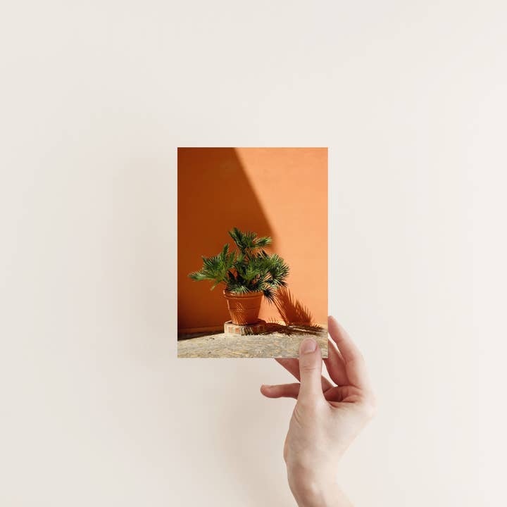 Veni Etiam Photography - Wholesale Art Print - Palm Tree Minimalist Art Print3
