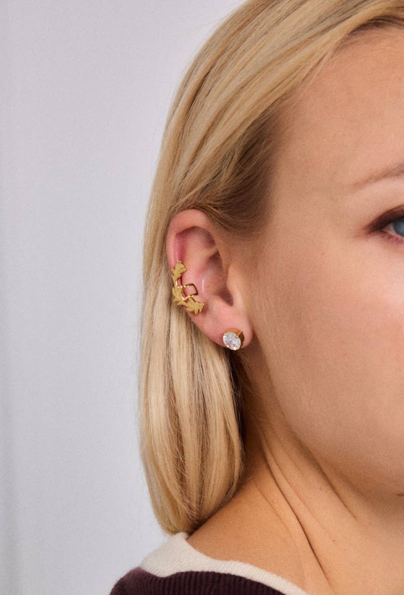 Gold Stainless steel earrings 124RX163 for wholesale on Faire1