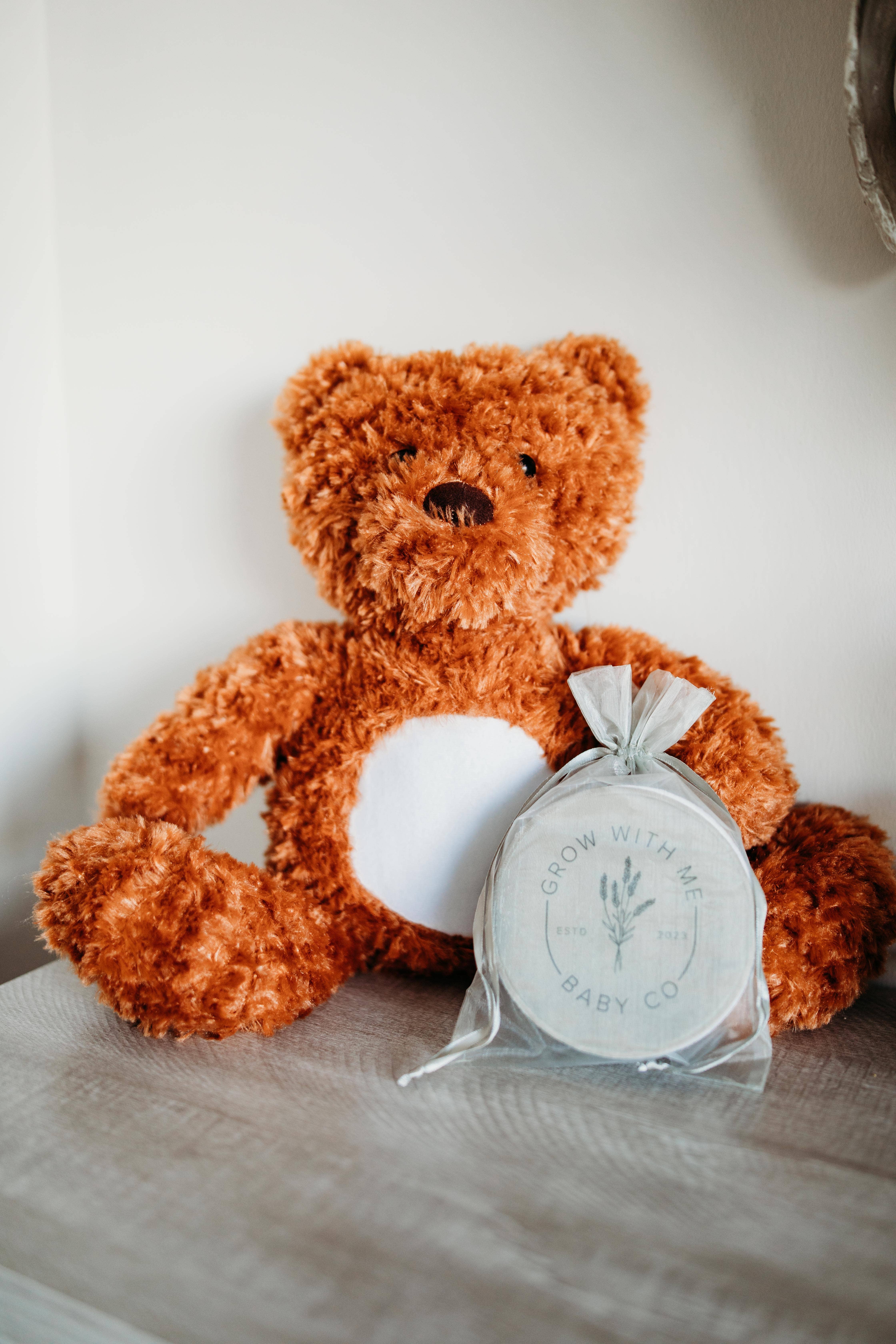 Grow With Me Baby Co - Wholesale Stuffed/Plush Toy - Kids & Baby - Monthly Milestone Discs, Bear Stuffed Animal6