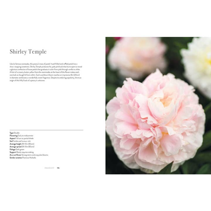 Gibbs Smith - Wholesale Home & Garden - Peonies: Beautiful Varieties for Home & Garden3