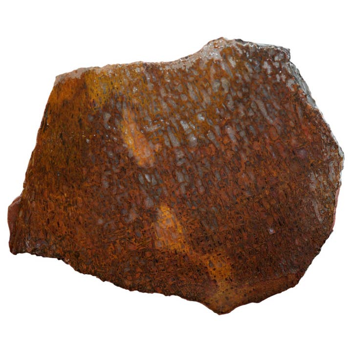 Gem Dinosaur Bone Slab - Darker Cell Pattern - Morrison Formation Utah for wholesale by Lapidary Central