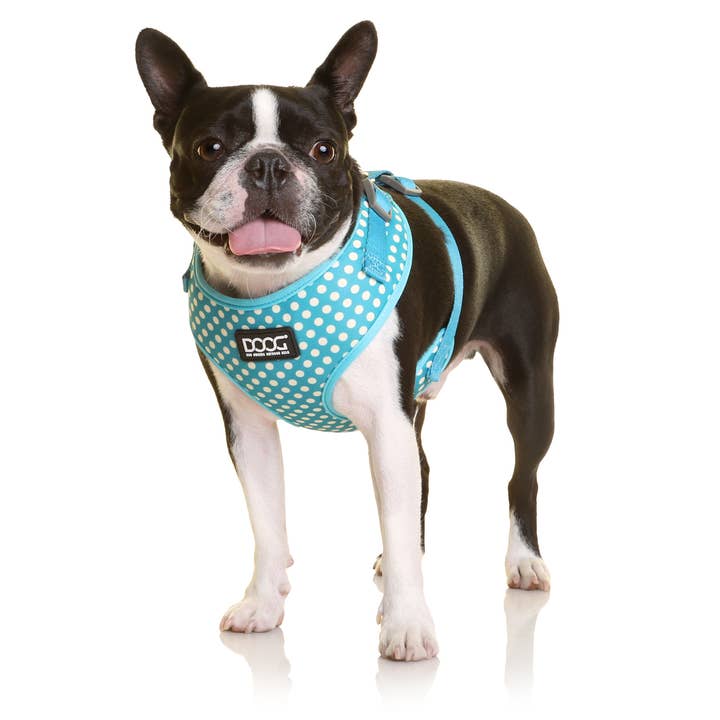 DOOG & Outback Tails & Country Tails - Wholesale Pet Harness - Dog - 'Neoflex' Soft Harness -SNOOPY