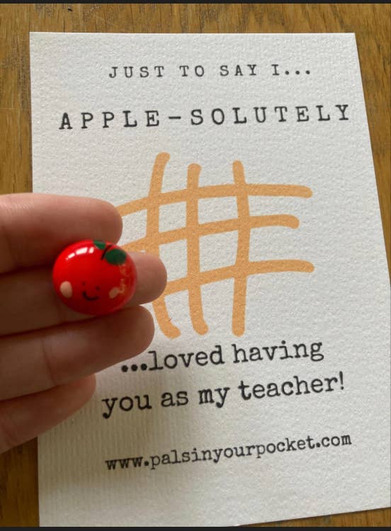 Pals in your Pocket – wholesale Lärare/tillbaka till skolan-kort – Litet tackgåva till lärare – fickpresent2