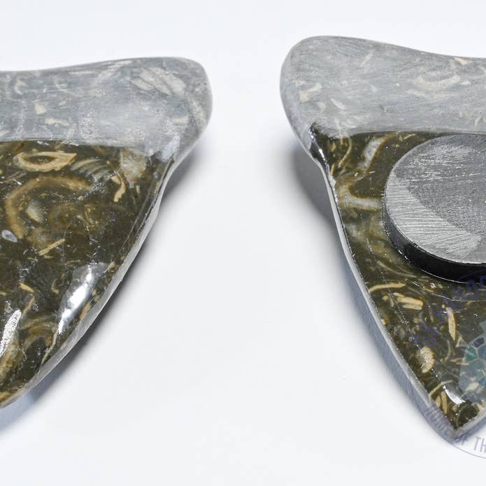 Imán de diente de tiburón de mármol de 2 pulgadas para venta al por mayor de SS handcrafted Art