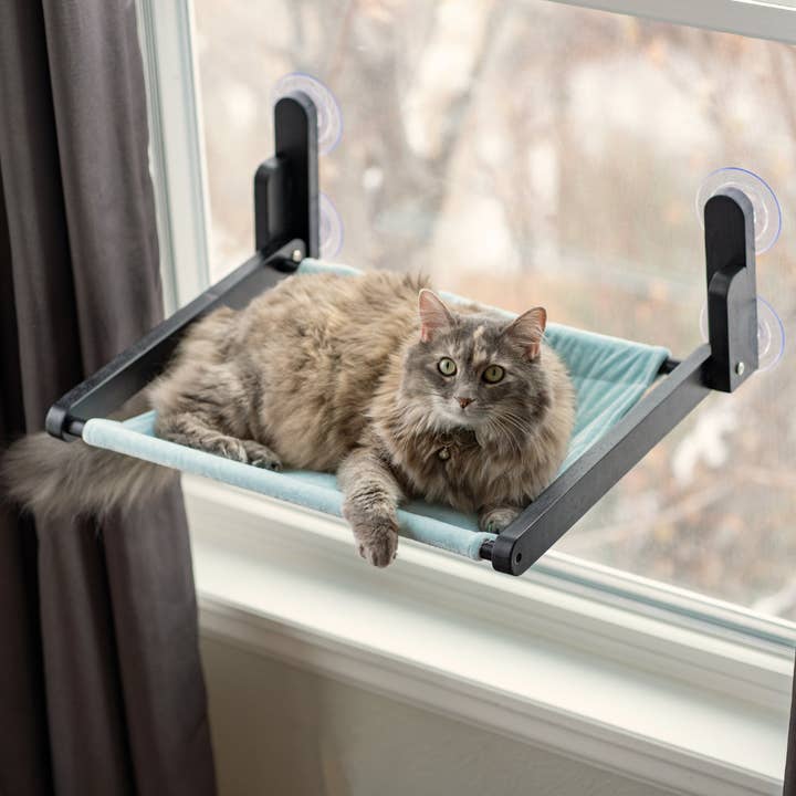 Cat Window Perch - Blue Fabric - Wooden, Folding, Window Hammock and other Purchase Wholesale cat hammock. Free Returns & Net 60 Terms on Faire trending on Faire.