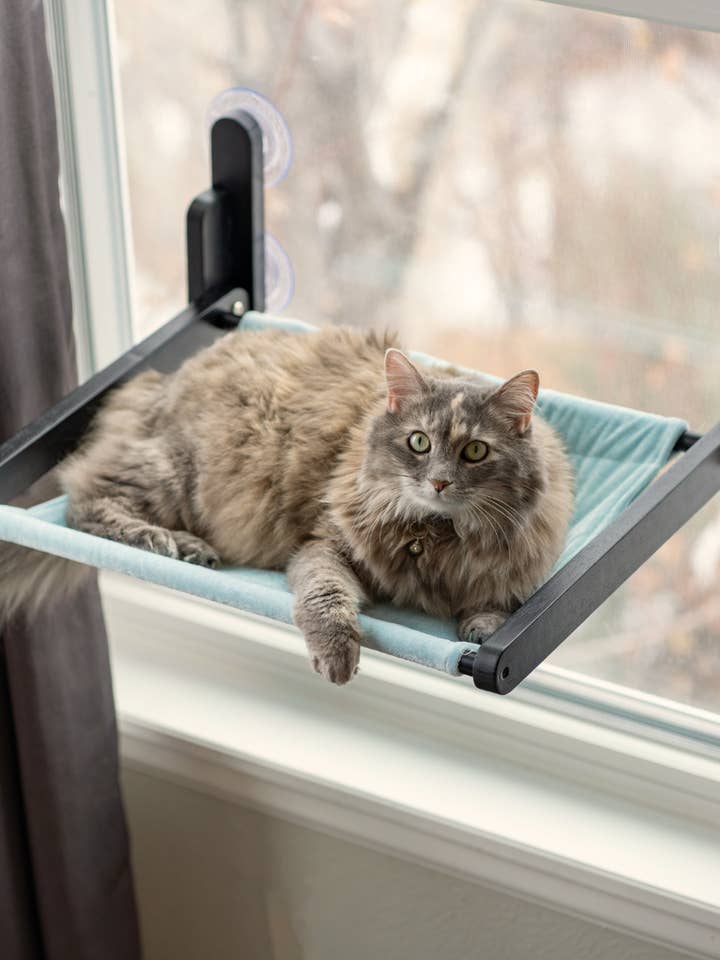 Cat Window Perch - Blue Fabric - Wooden, Folding, Window Hammock and other Purchase Wholesale perch. Free Returns & Net 60 Terms on Faire trending on Faire.