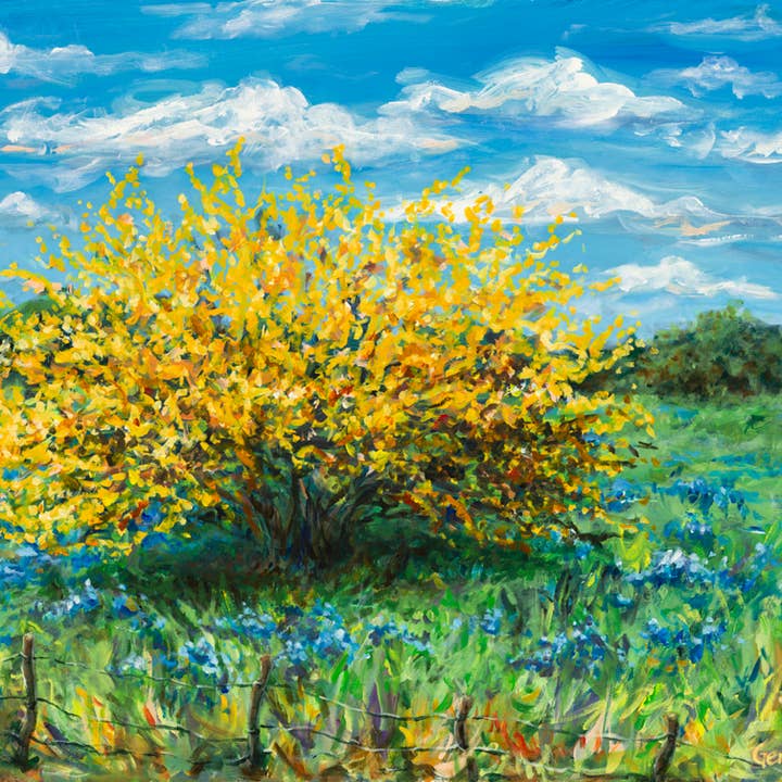 Texas Huisache in metallo Bluebonnets per la vendita all'ingrosso da parte di Gena Destri