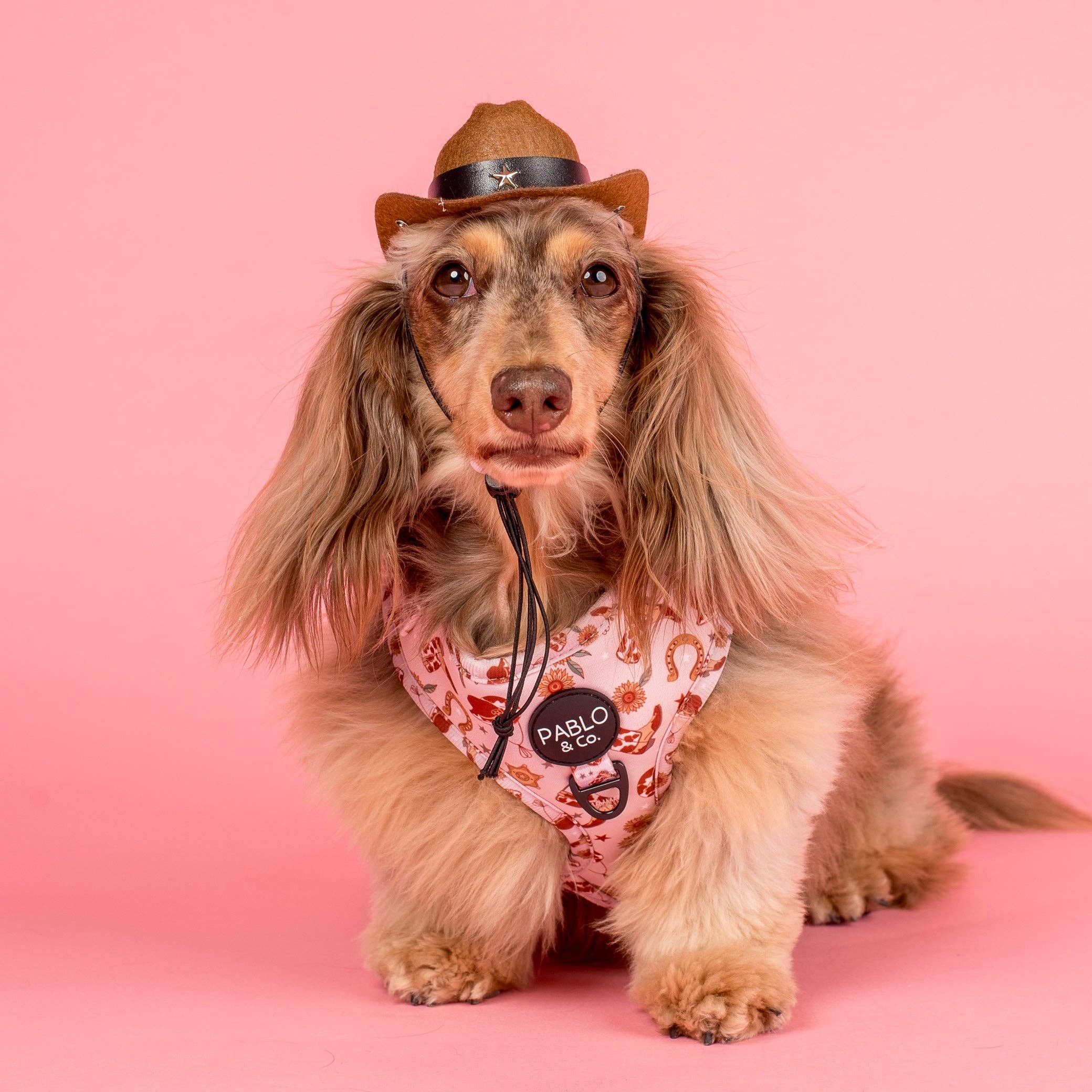 Pablo & Co. Boutique - Vente Chapeau – chien - Chapeau de Cowboy7