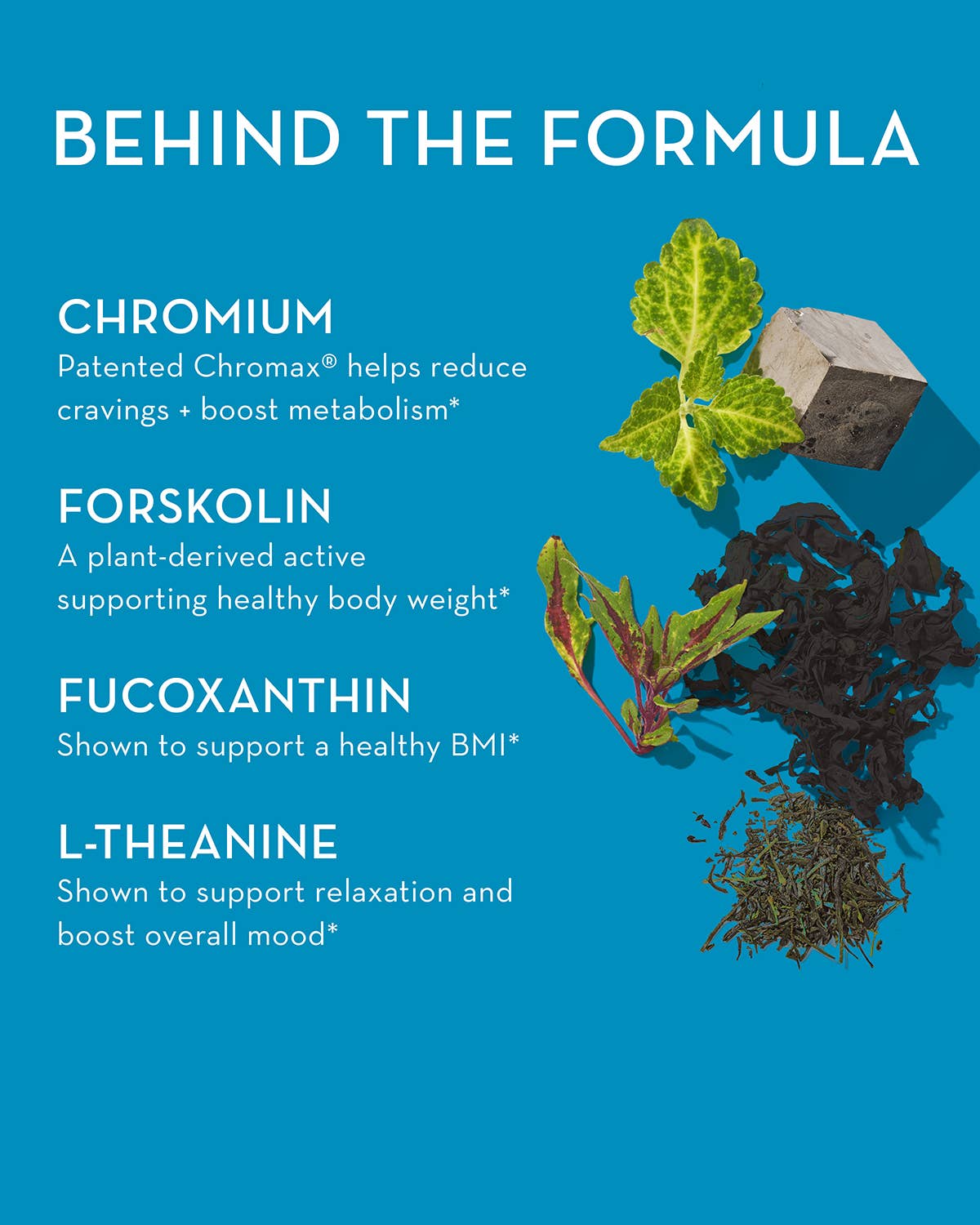 Hum Nutrition - Wholesale Oral Supplement/Vitamin - COUNTER CRAVINGS CAPSULES FOR REDUCING CRAVINGS4