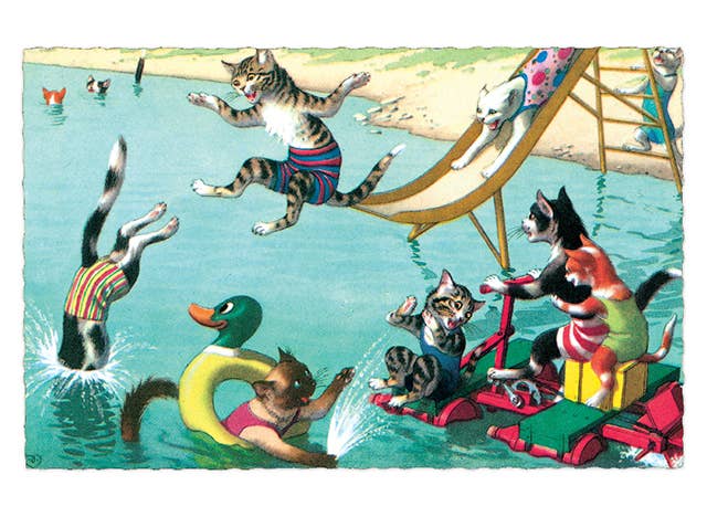 Laughing Elephant - Wholesale Postcard - Delightfully Dressed Cats - Everyday Boxed Postcards10