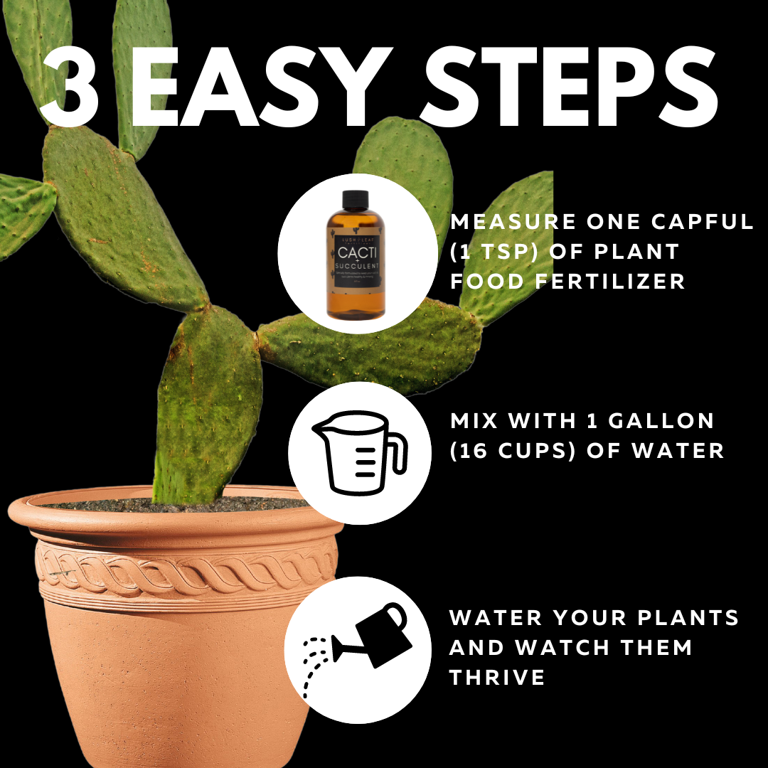 Lush Leaf - Wholesale Fertilizer - Cacti & Succulent Plant Food7