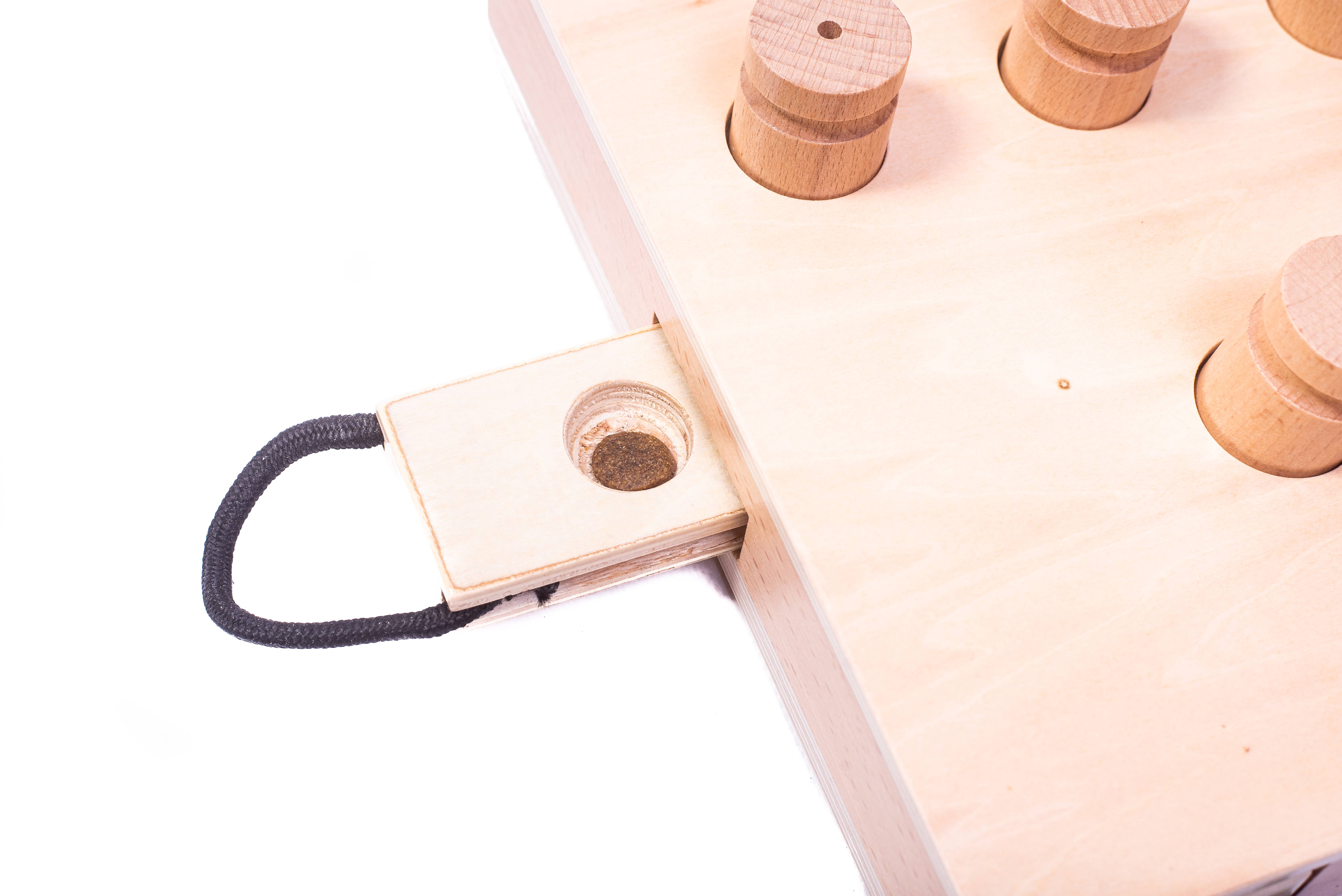 My Intelligent Dogs - Wholesale Pet Toy - Dog - iPet - Smart Dog - challenging and stimulating dog game5