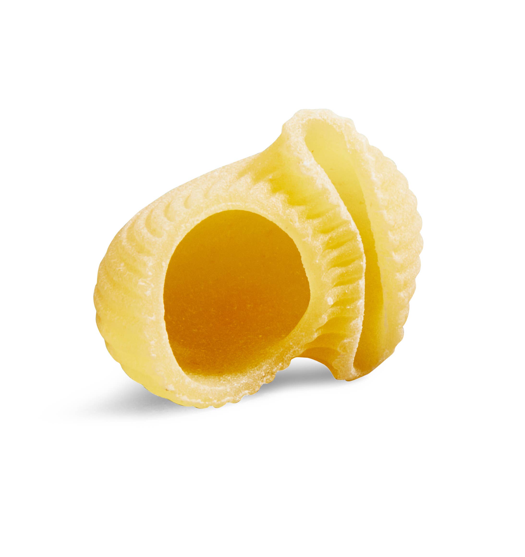 Delallo - Wholesale Pasta - Shellbows Pasta (Lumache)5