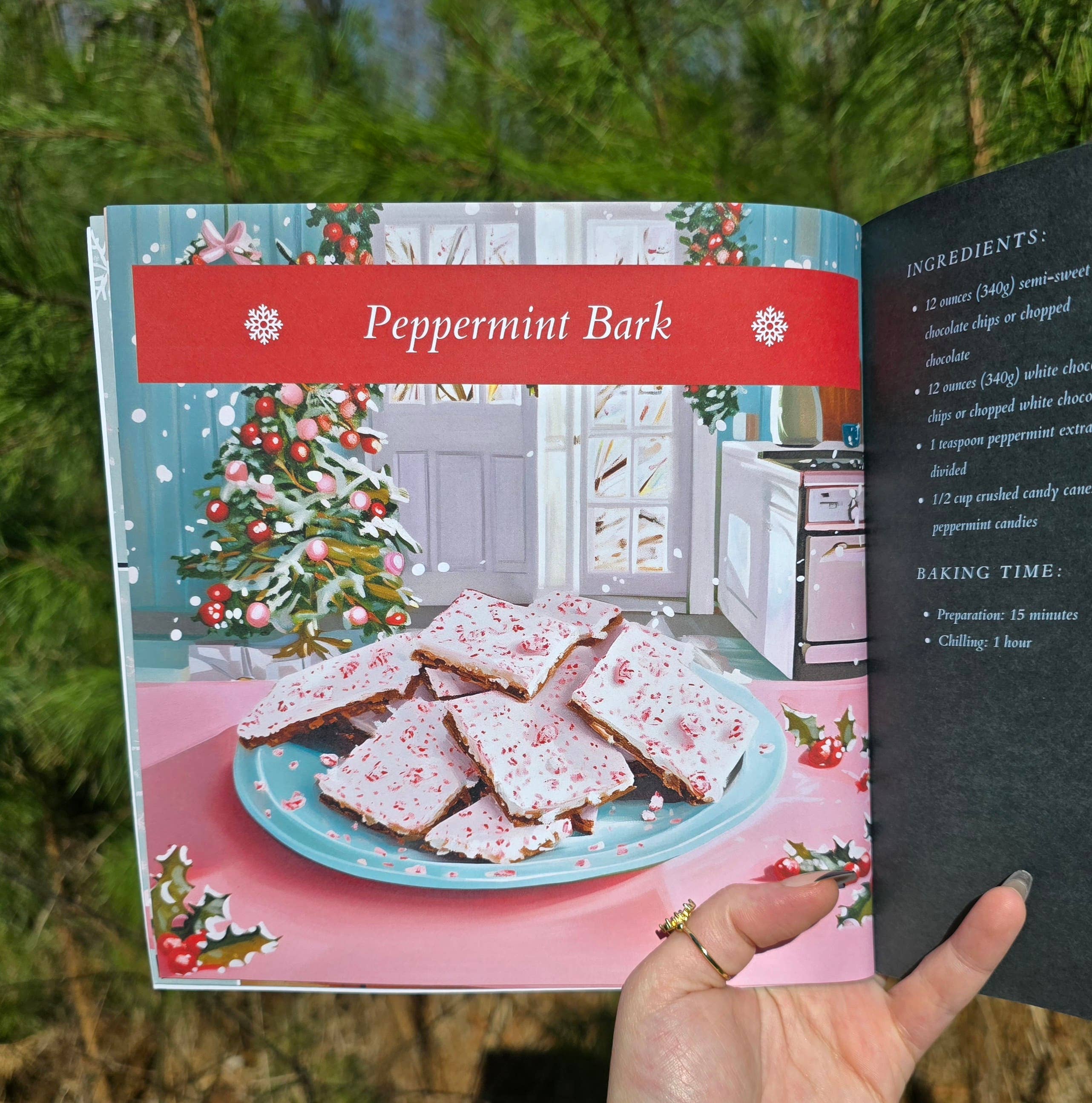 Author Linda Blackmoor - Wholesale Baking & Dessert - My Very First Christmas Baking Recipes Book3